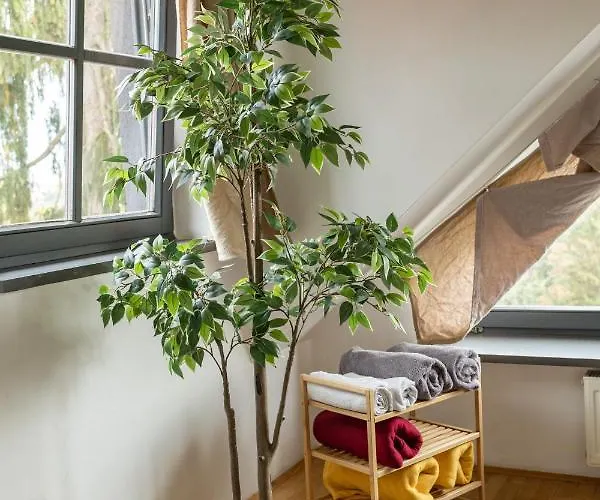 Cukrarna Guest Hostel Kranj